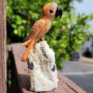 SOLD ❌️ NEW ORANGE CALCITE BIRD ON A BLACK TOURMALINE BASE